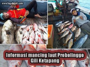 Info mancing laut Probolinggo