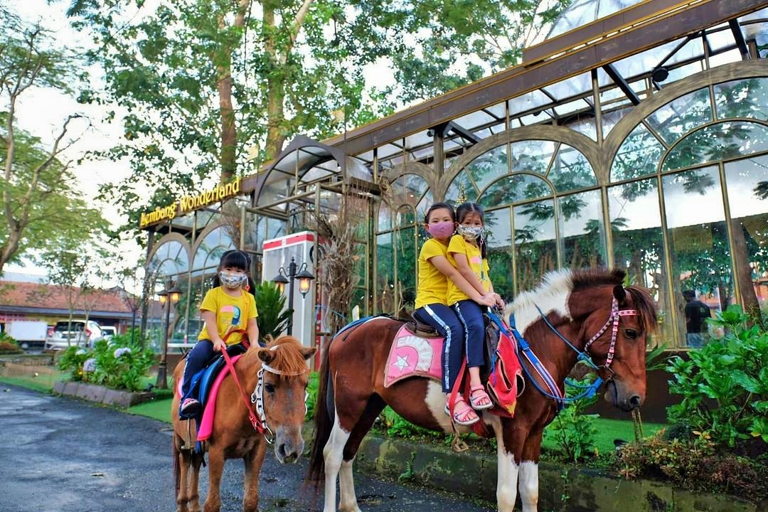 Menaiki Kuda Di Lembang Wonderland