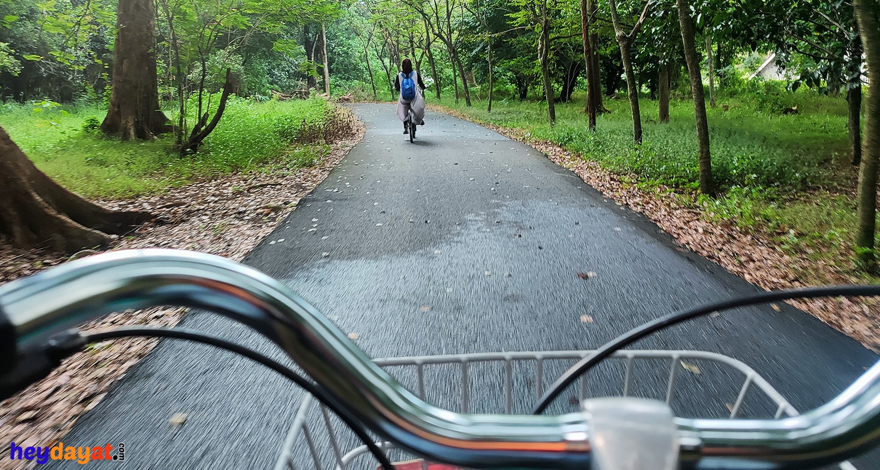 Naik Sepeda Ontel Keliling Kebun Raya Purwodadi